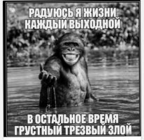 Не ищите здесь смысл. Здесь в основном маразм