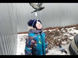 15 необычных фото, доказывающих, что мир не перестанет нас удивлять