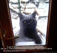 Прикольные и смешные картинки