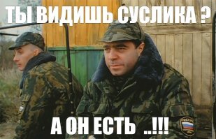 дык ни один идор не признает (в нашем ареале) что он сусляра :)