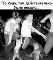 Борода этого бояна опоясывает земной шар и упирается в петросяна.