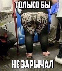 Девушки в лосинах