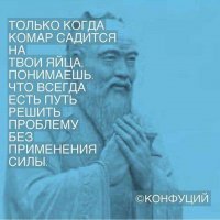 Якутию атаковали тучи комаров