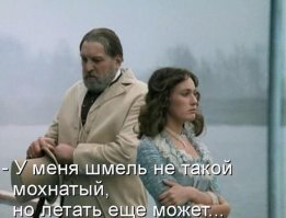 Смешные картинки