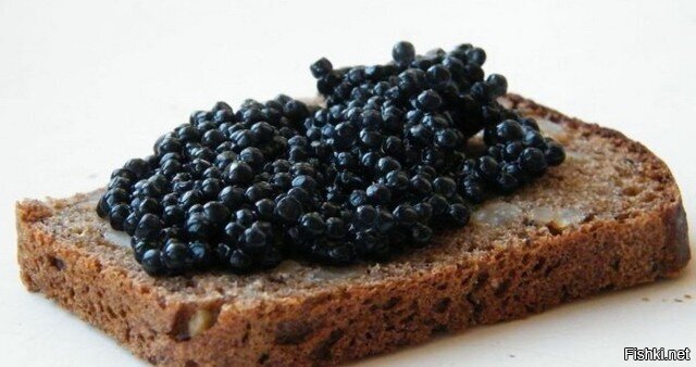 Вот это- осетрина с икорочкой.