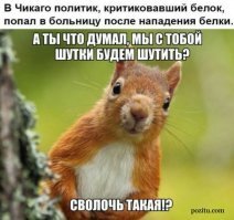 Белки кстати кусаются только в путь.