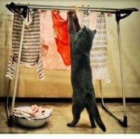 Там ещё и прачечная.