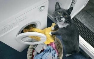 Там ещё и прачечная.