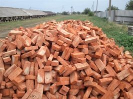 В Подмосковье мужчина выгулял своего удава во дворе