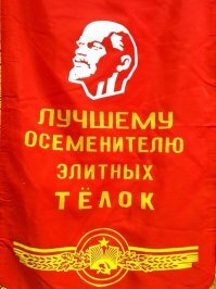 Прикольные и смешные картинки