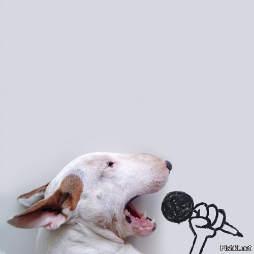 Солянка от 11.06.2020