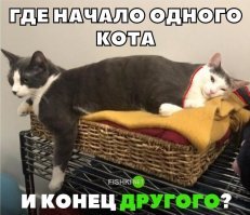 Смешные картинки