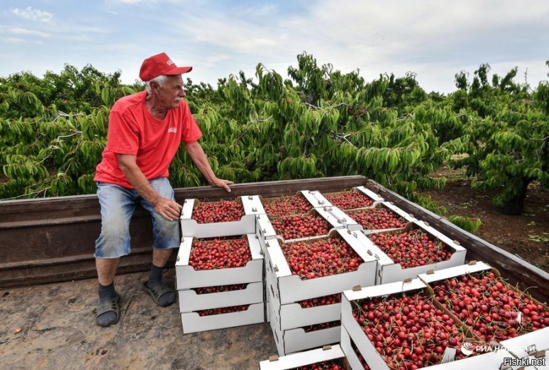 Солянка от 11.06.2020