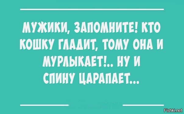 Солянка от 11.06.2020