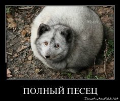 Школьницу дразнили из-за роста, а она стала моделью