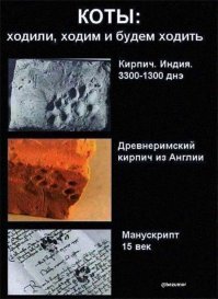 Бесценные фрески майя найдены в Гватемале