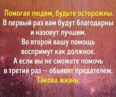 Прикольные и смешные картинки