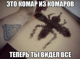 Якутию атаковали тучи комаров