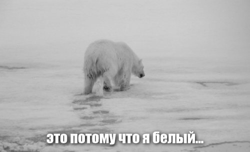 Прикольные и смешные картинки