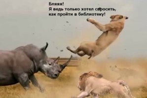 Носорог в деле: 2 тонны веса против слона, буйвола и льва