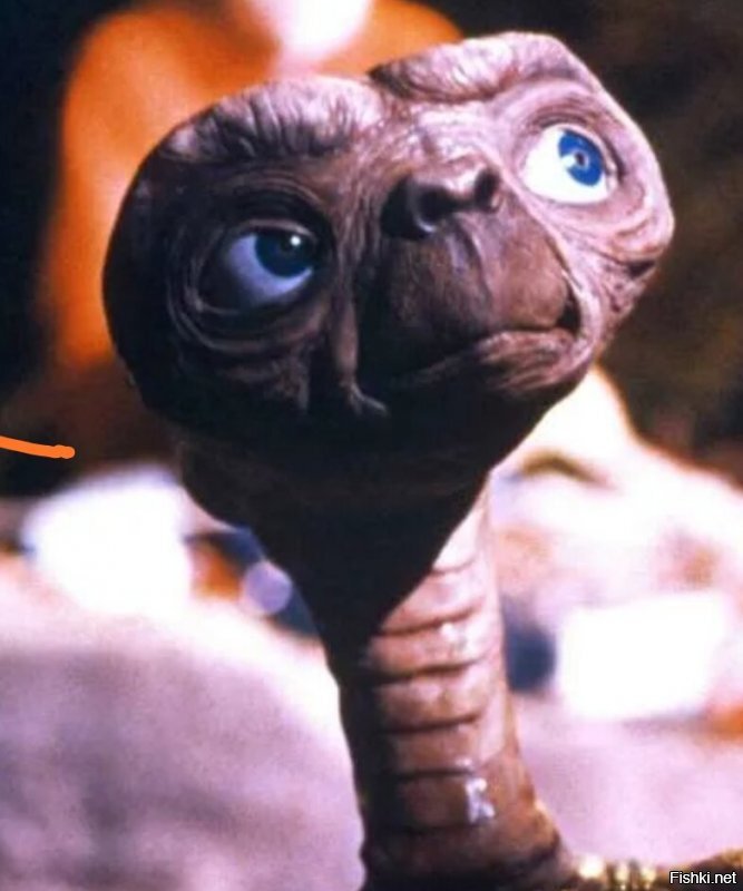 Теперь понятно откуда идея приплыла