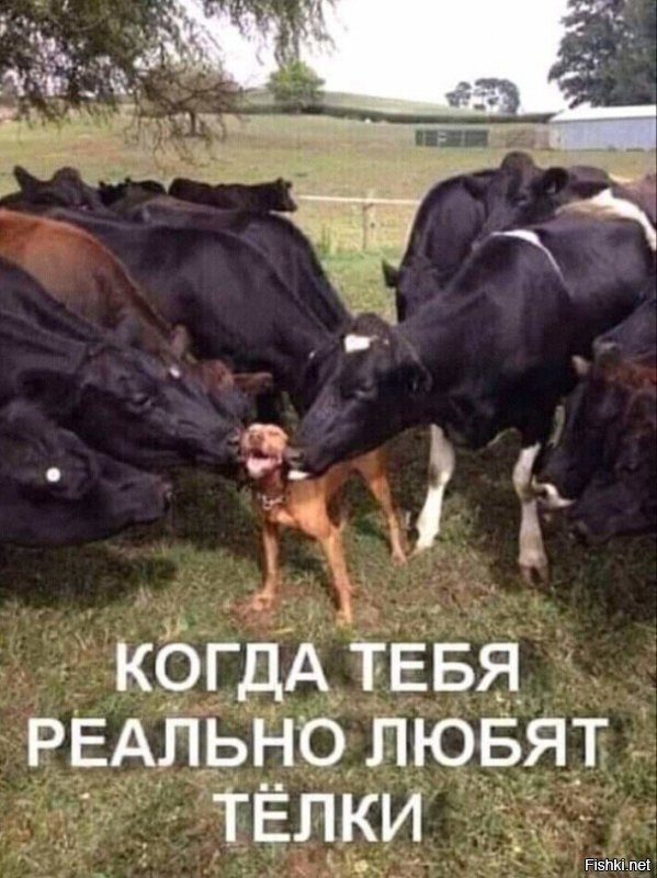 11 июня, Феодосия Колосяница (Гречишница)