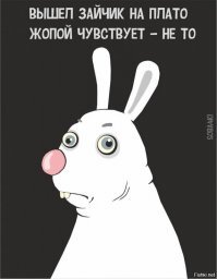 Прикольные и смешные картинки