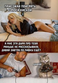 Прикольные и смешные картинки