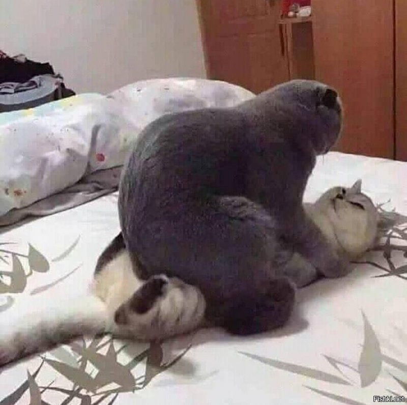 Солянка от 12.06.2020