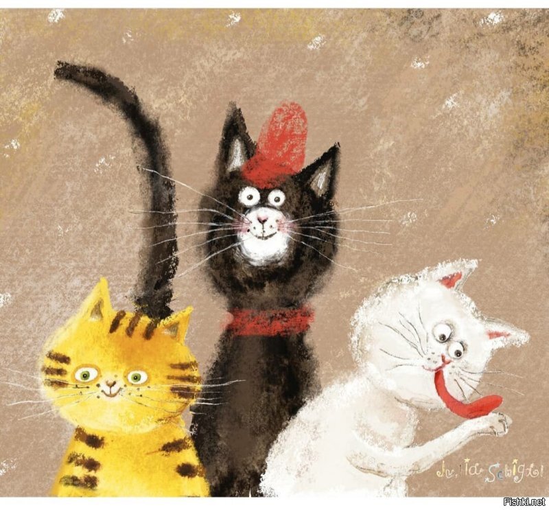 Солянка от 12.06.2020