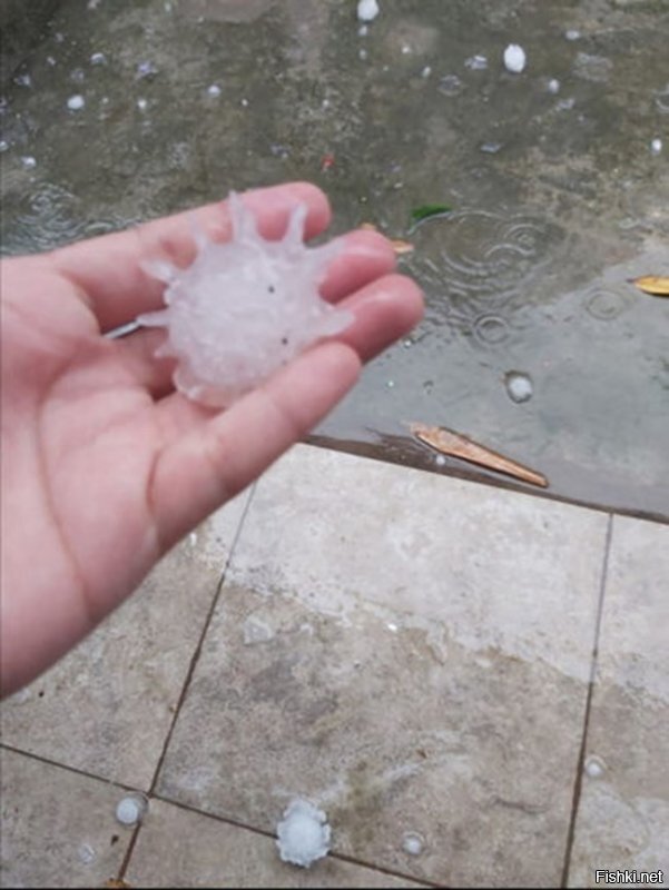 Коронавирус с неба...