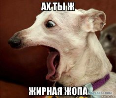 Особые правила дорожного движения для хрустика