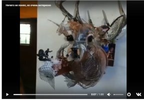 Это не иллюзия,обычный морфинг