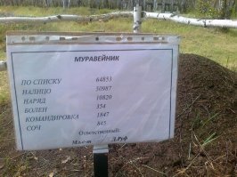 Не надо на наших муравьев наезжать .У них все в образцовом порядке.