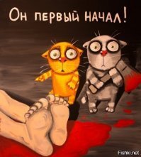 В Китае спасли 700 кошек от съедения