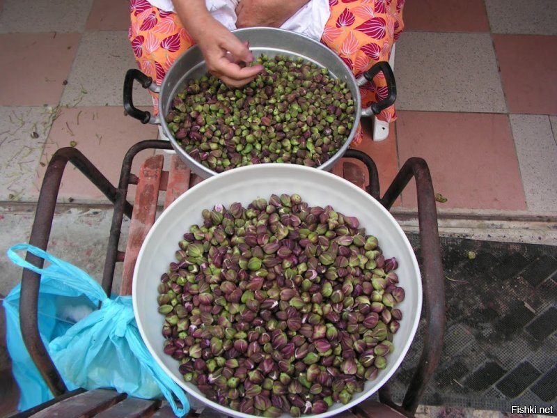 Солянка от 13.06.2020