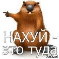 Жених Бузовой вывихнул плечо и пожаловался на врачей