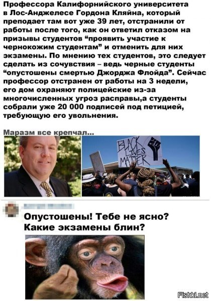 Политические комментарии из инета