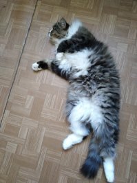 И у меня есть чуть-чуть!