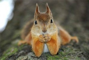 Вот этот демон: