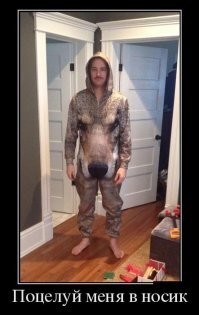 рвануло хохложопого!)))