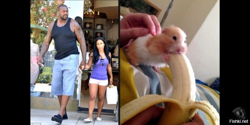 Солянка от 13.06.2020