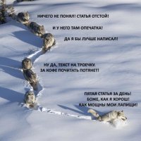 Эх Димон))) люблю твои посты, но это прям про тебя иногда: