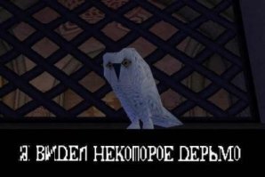 Смешные картинки и не очень