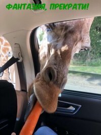 Подборка интересных и веселых картинок