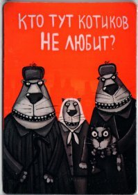 В Китае спасли 700 кошек от съедения