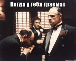 Памятка: Что делать, если на тебя напала бродячая собака? А если сразу стая?