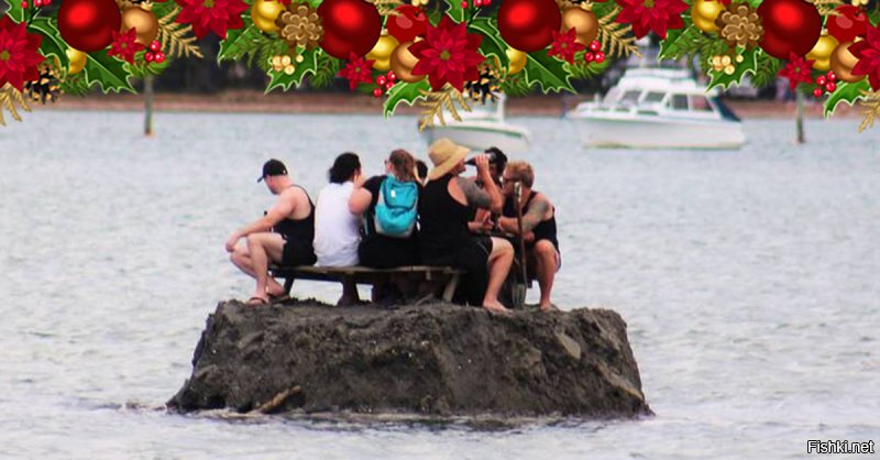 Новую Зеландию забыли. Жители новозеландского города Коромандел нашли необычный способ обойти запрет на распитие алкоголя в общественных местах в новогодние праздники.