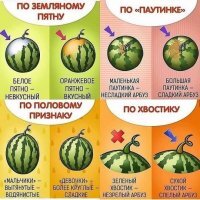 Прикольные и смешные картинки