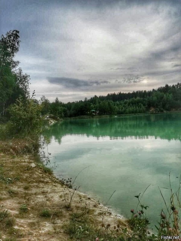 меловой карьер близ г. Любань Р.Б.